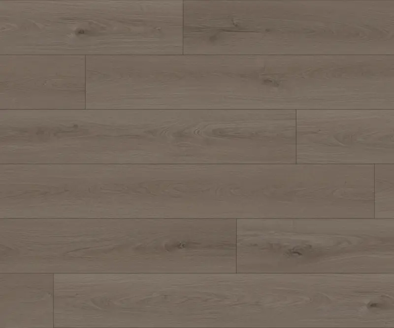 Gryfino Forest Premium Brunello