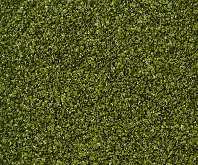 Pitch Olive Green